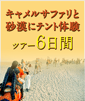 キャメルサファリと砂漠にテント体験ツアー6日間