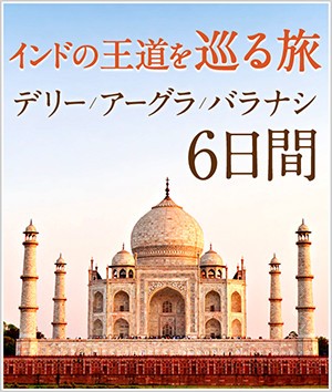 インドの王道を巡る旅 デリー・アーグラ・バラナシ6日間