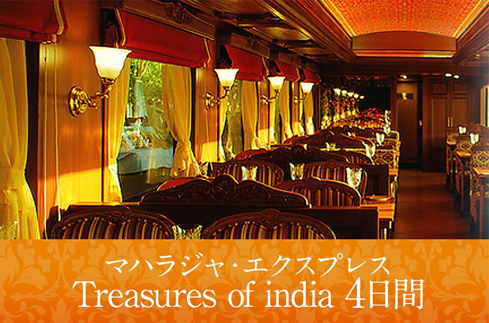 マハラジャ・エクスプレス Treasures of india 4日間