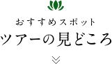 おすすめスポット ツアーの見どころ