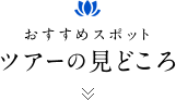 おすすめスポット ツアーの見どころ