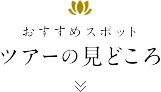 おすすめスポット ツアーの見どころ