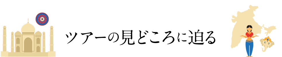 ツアーの見どころに迫る