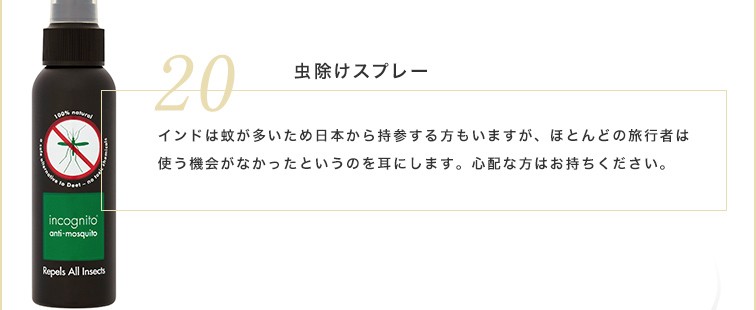 インドは蚊が多いため虫除けスプレーを日本から持参する方もいますが、ほとんどの旅行者は使う機会がなかったというのを耳にします。心配な方はお持ちください。