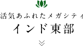 活気かふれたメガシティ インド東部