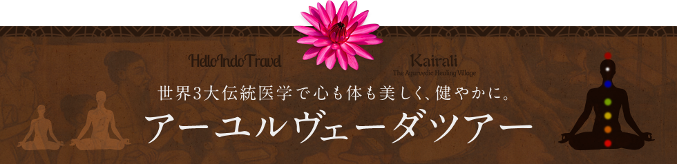 世界3大伝統医学で心も体も美しく、健やかに。アーユルヴェーダツアー